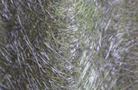 Wood End fibreglass roof work